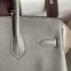 Birkin 25 Bag In Etain Togo Leather - Image 4