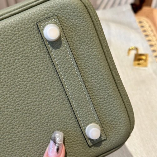 Birkin 25 Bag In Sauge Togo Leather - Image 8