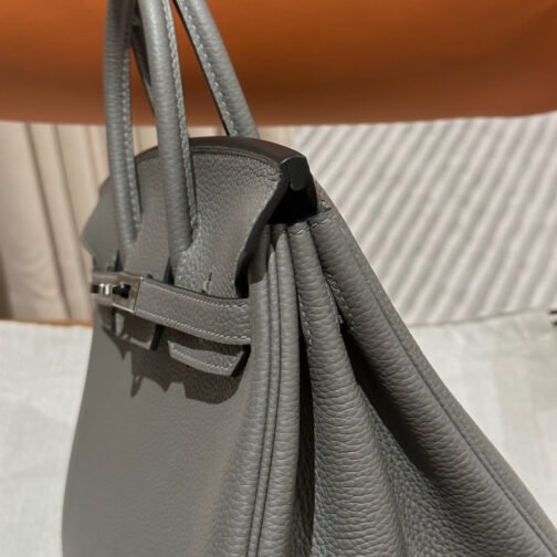 Birkin 25 Bag In Gris Meyer Togo Leather - Image 4