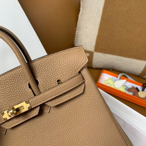 Birkin 25 Bag In Chai Togo Leather - Image 2
