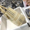 Lady D-Lite Medium Bag In Apricot Five Grid Embroidery Stripes - Image 3
