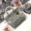 Lady D-Lite Large Bag In Gray Toile de Jouy Embroidery